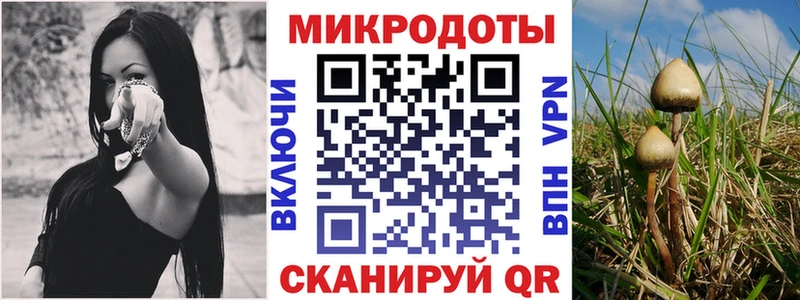 Галлюциногенные грибы ЛСД  Удомля 