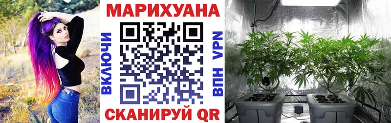 Бошки Шишки THC 21%  Удомля 